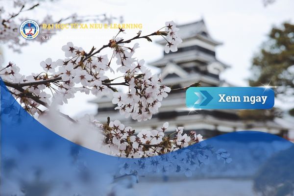 Hệ đào tạo đại học từ xa tại Nhật Bản: Giải đáp thắc mắc thường gặp