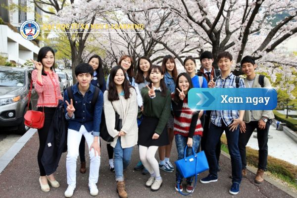 Ngành Quản trị kinh doanh ở Nhật: Cơ hội cho người Việt