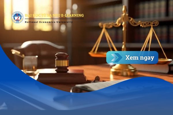 Ngành Luật Kinh tế hệ từ xa – Cánh cửa dẫn đến sự nghiệp pháp lý và kinh doanh thời đại số
