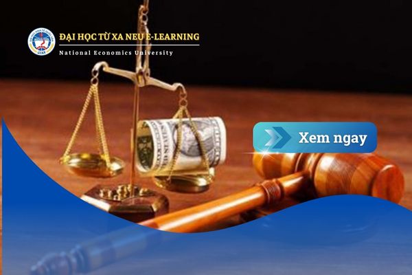Bằng Luật Kinh tế hệ từ xa có giá trị như chính quy không?