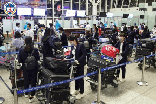 Những công việc xuất khẩu ở Nhật và lợi thế từ đại học từ xa NEU